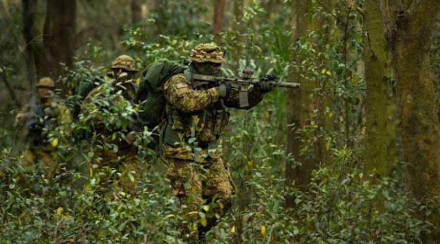 Bărbați camuflați în natură cu o armă