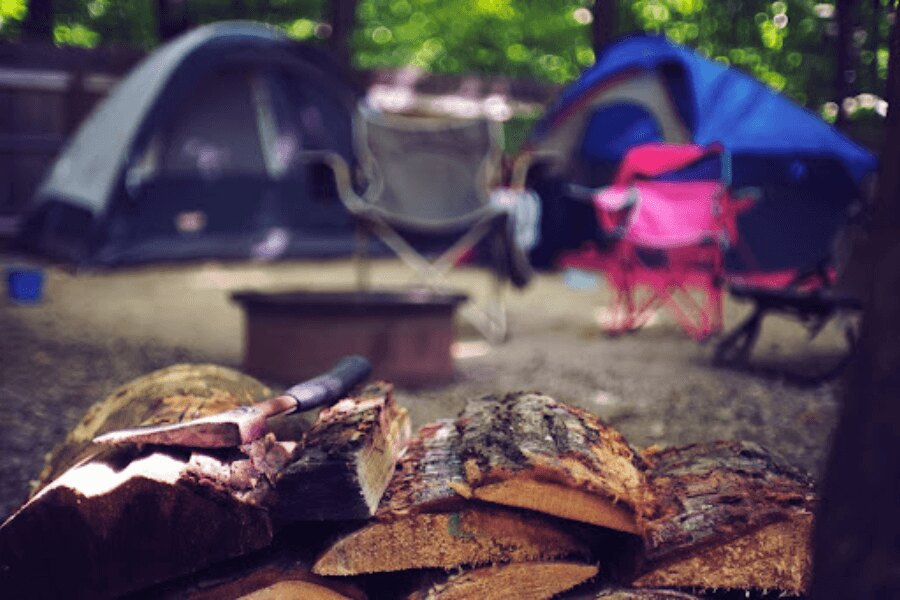 topor din lemn lângă tabără. Sursa: https://www.pexels.com/cs-cz/foto/drevo-krajina-dovolena-leto-2662831/