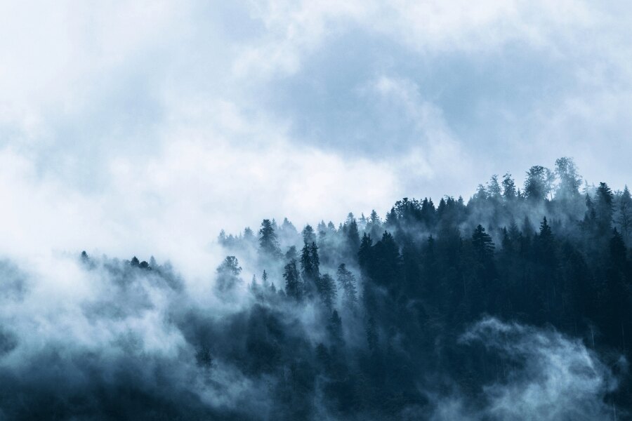 Natura iarna. Sursa: https://www.pexels.com/cs-cz/foto/ryma-svetly-krajina-hory-167699/