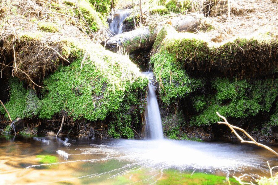 natura primăvara
