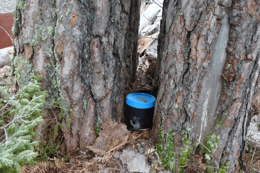 geocaching, cache ascunsă lângă copac. Sursă: https://commons.wikimedia.org/wiki/File:Geocaching_indelis,_Zypli%C5%B3_pu%C5%A1is.JPG