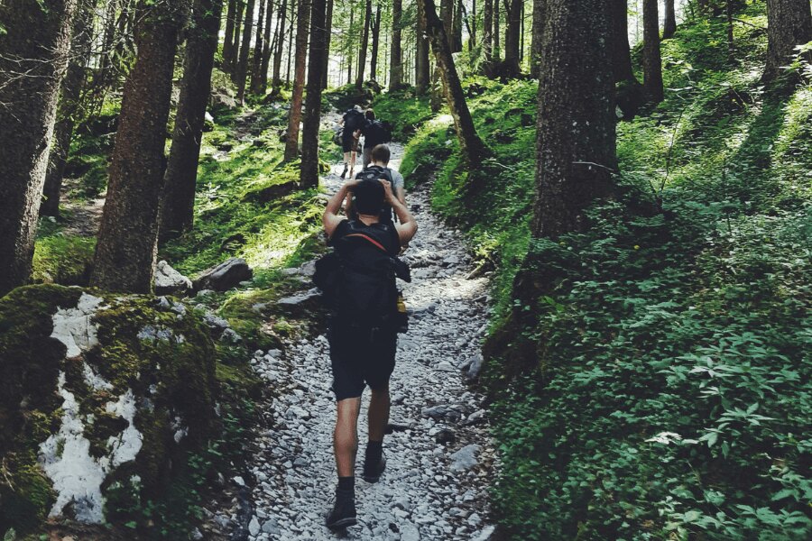 tinerii pe traseu, speed hiking. Sursa: https://www.pexels.com/cs-cz/foto/1194235/