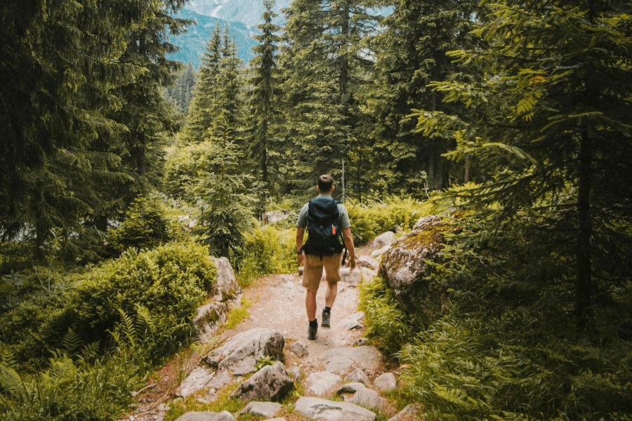 Bărbat cu rucsac în timp ce face drumeții în pădure. Sursa: https://www.pexels.com/cs-cz/foto/priroda-muz-dovolena-chuze-2629233/