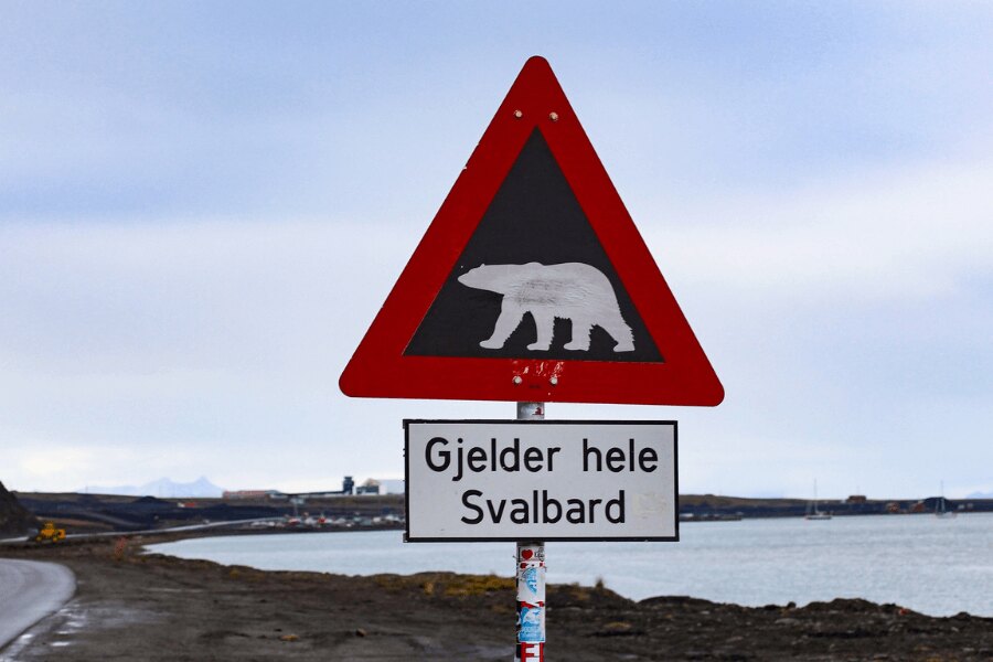 Spitsbergen, Norvegia. Sursă: https://pixabay.com/cs/photos/%C5%A1picberky-skandin%C3%A1vie-severn%C3%AD-4763129/