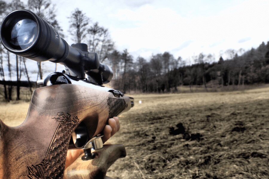 Pușcă cu aer comprimat cu optică. Sursa: https://pixabay.com/cs/photos/%C4%8F%C3%A1bel-diabols-airgun-zbra%C5%88-air-4919447/