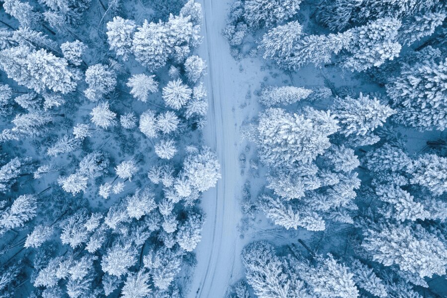 Pădure acoperită de zăpadă, vedere din dronă. Sursă: https://www.pexels.com/cs-cz/foto/1438761/