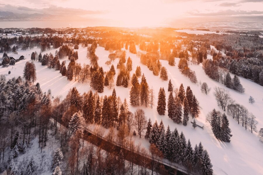 Peisaj de iarnă cu pădure la apus. Sursa: https://www.pexels.com/cs-cz/foto/1643773/