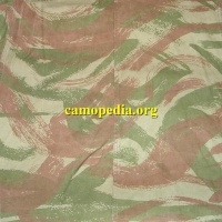 Model de camuflaj Lizard (FR)