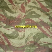 Model de camuflaj Lizard (FR)