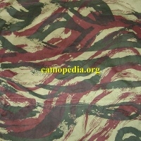 Model de camuflaj Lizard (FR)