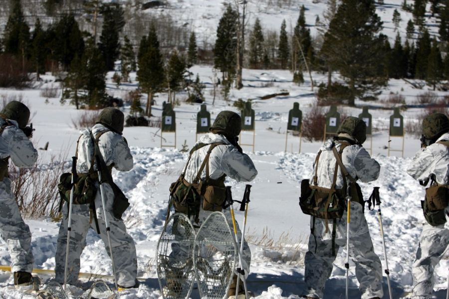 Model de camuflaj MARPAT™ - Winter și Snow camo