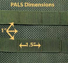 Sistemul Pals