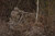 Masca camuflaj Tripod Camo Ghosthood® IRR