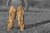 Pantaloni de camuflaj Ghost Legs Ghosthood® IRR