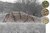 Plasă de camuflaj Camo Net 6×8,5 m Ghosthood® IRR